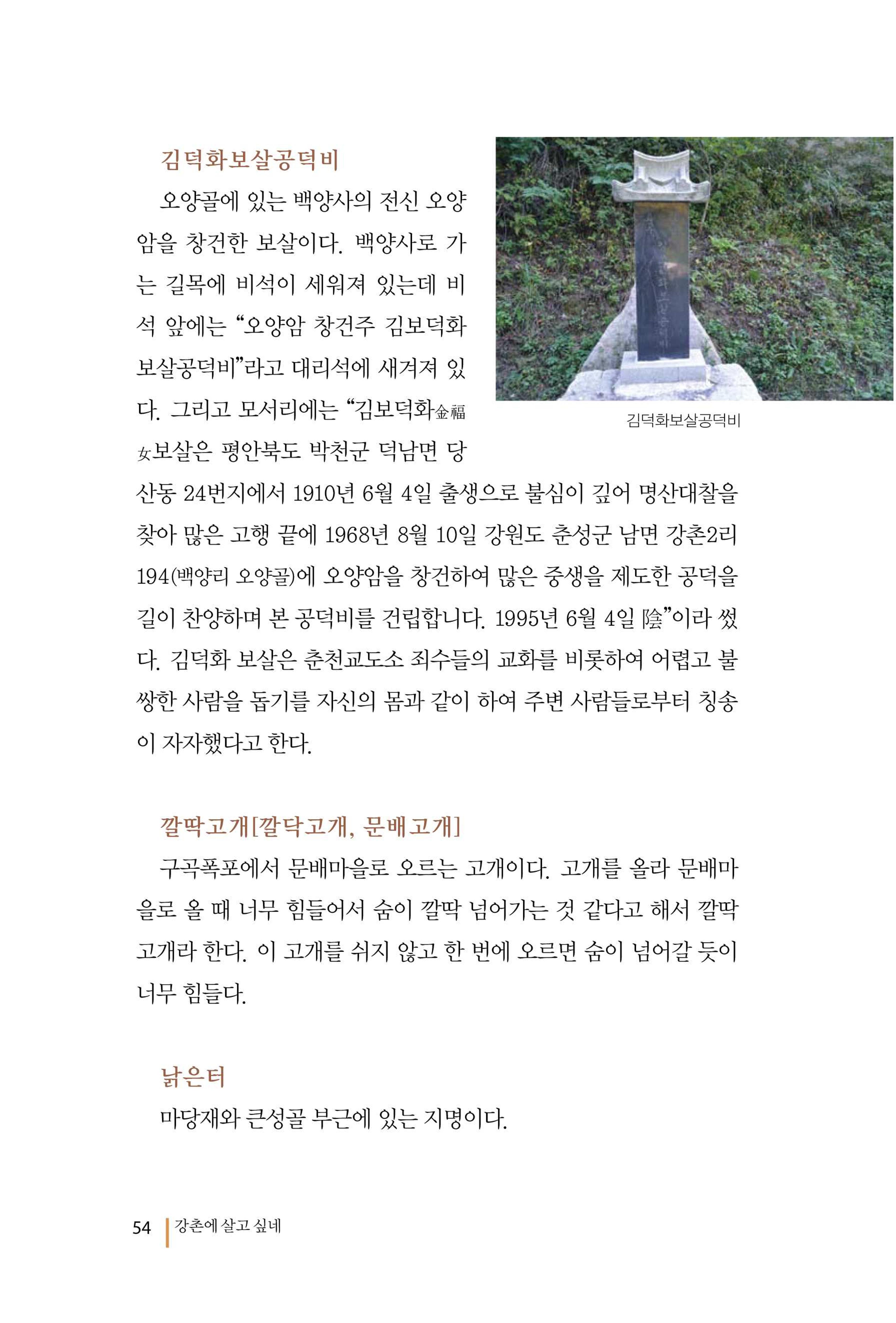 강촌에 살고싶네(강촌지리지) 54페이지