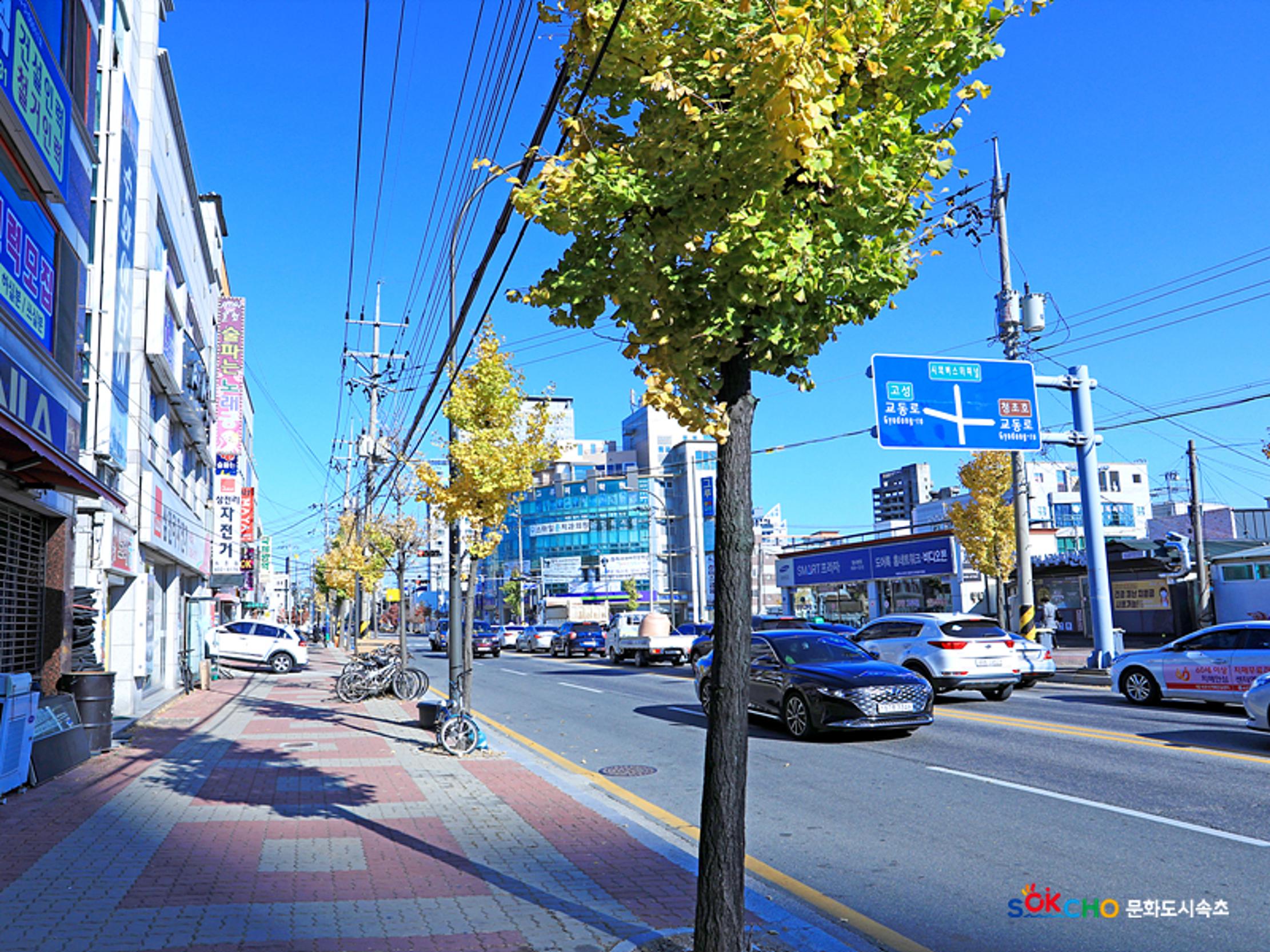 2020 속초 문화특화지역조성사업 도시기록사업 사진 모음(교동) 40페이지