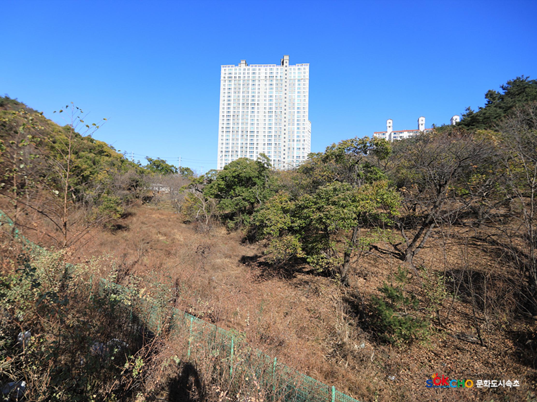 2020 속초 문화특화지역조성사업 도시기록사업 사진 모음(교동) 70페이지