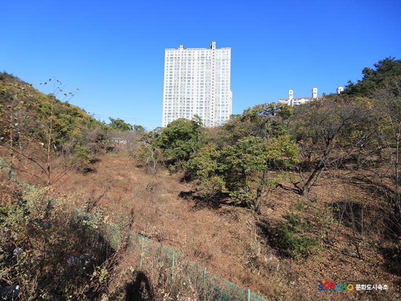 2020 속초 문화특화지역조성사업 도시기록사업 사진 모음(교동) 70페이지
