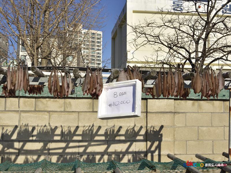 2020 속초 문화특화지역조성사업 도시기록사업 사진 모음(금호동) 12페이지