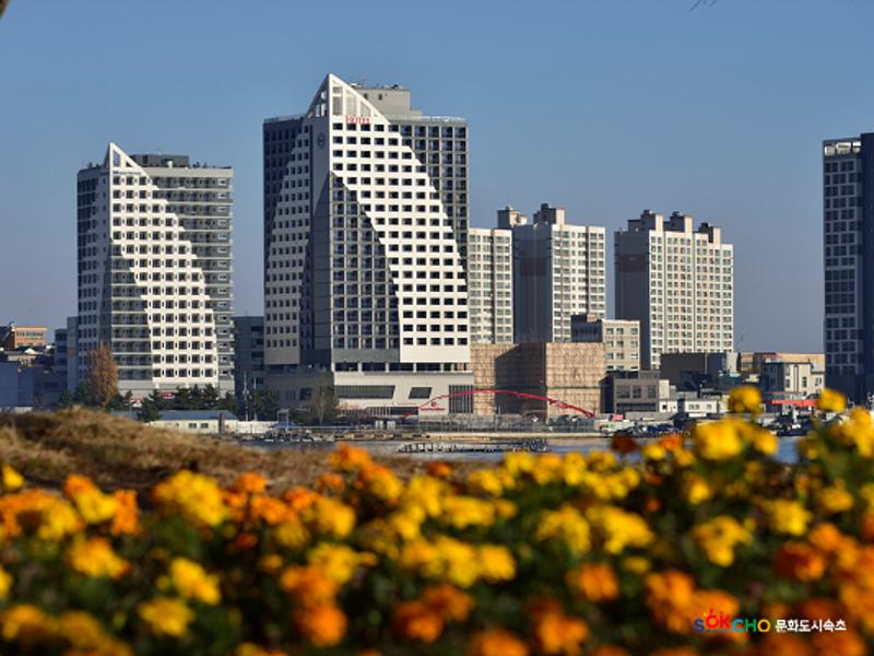 2020 속초 문화특화지역조성사업 도시기록사업 사진 모음(금호동) 4페이지
