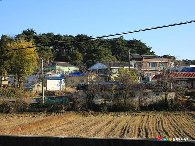 2020 속초 문화특화지역조성사업 도시기록사업 사진 모음(노학동) 15페이지