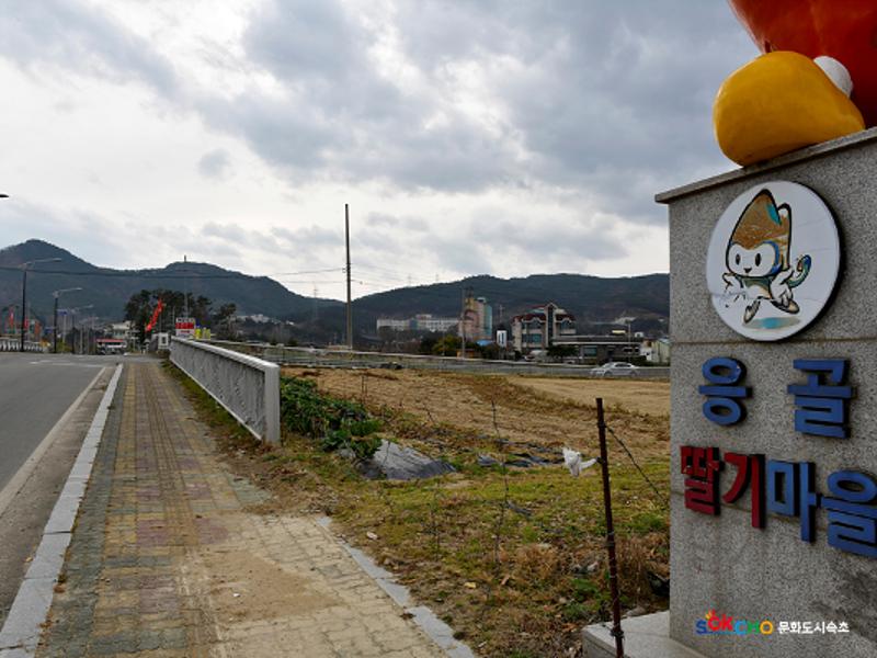 2020 속초 문화특화지역조성사업 도시기록사업 사진 모음(노학동) 29페이지