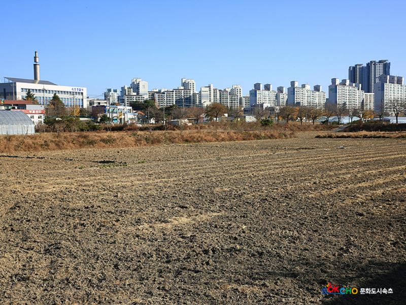 2020 속초 문화특화지역조성사업 도시기록사업 사진 모음(노학동) 30페이지