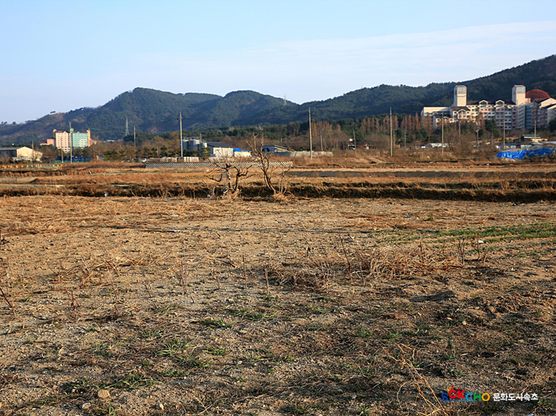 2020 속초 문화특화지역조성사업 도시기록사업 사진 모음(노학동) 36페이지