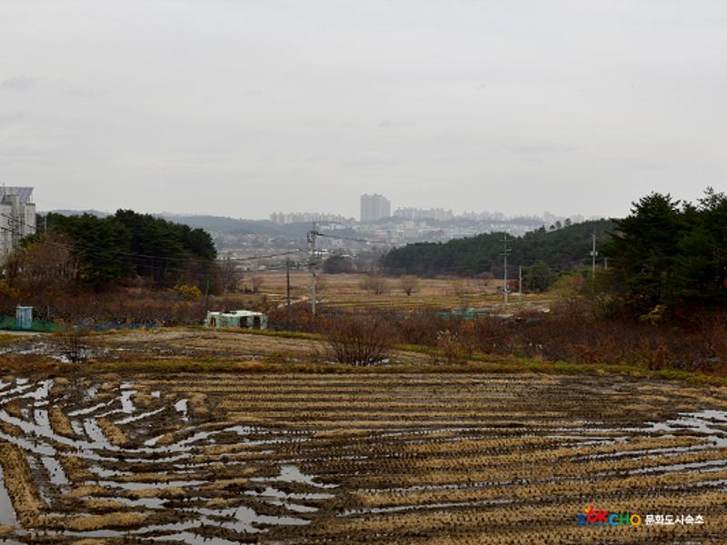 2020 속초 문화특화지역조성사업 도시기록사업 사진 모음(노학동) 54페이지