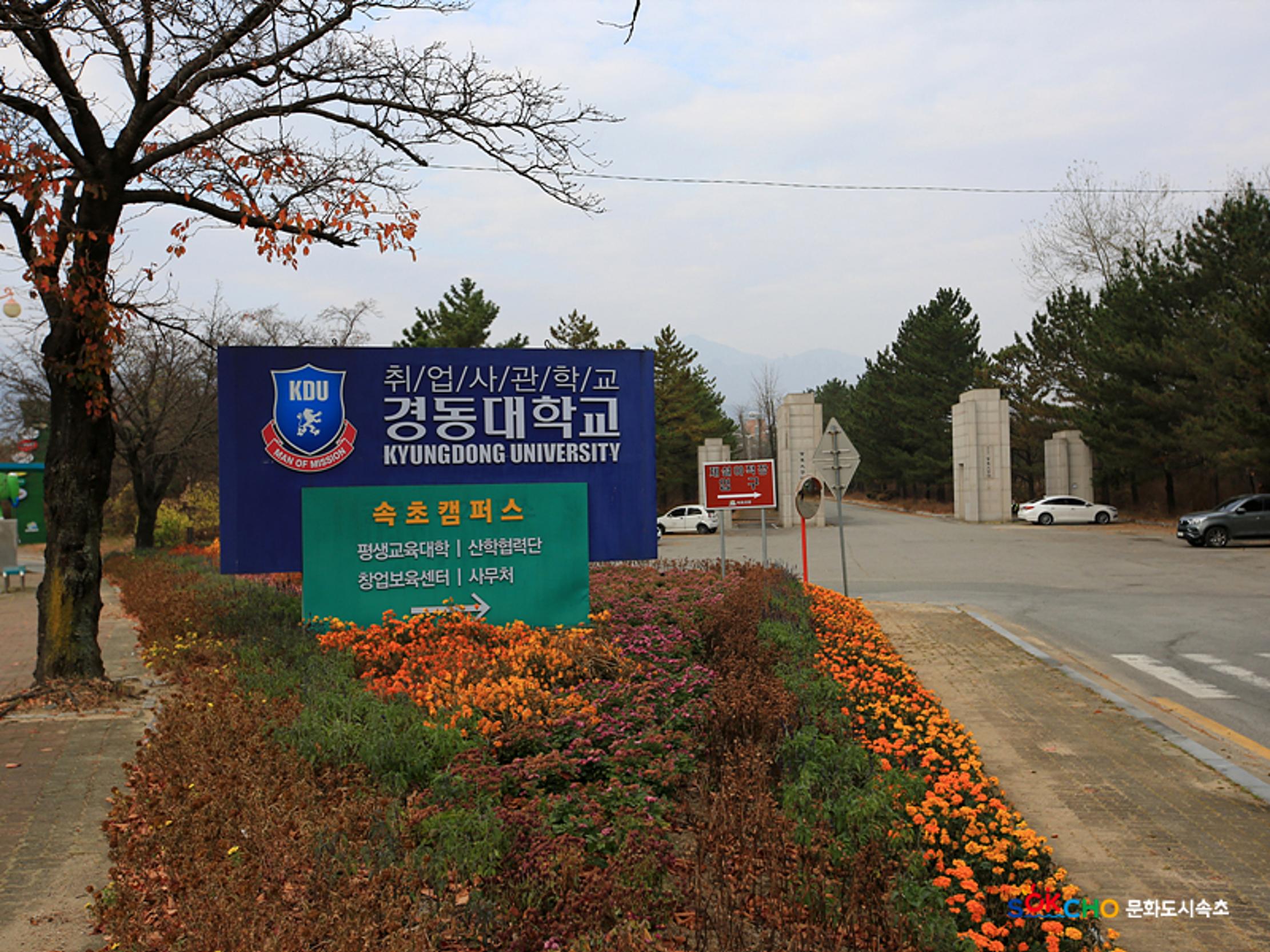 2020 속초 문화특화지역조성사업 도시기록사업 사진 모음(노학동) 56페이지