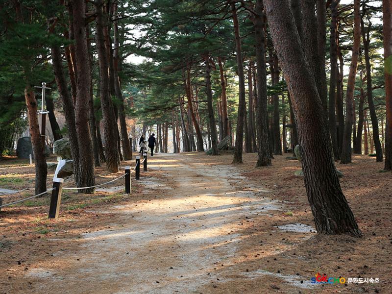 2020 속초 문화특화지역조성사업 도시기록사업 사진 모음(노학동) 57페이지