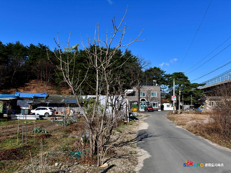 2020 속초 문화특화지역조성사업 도시기록사업 사진 모음(노학동) 72페이지