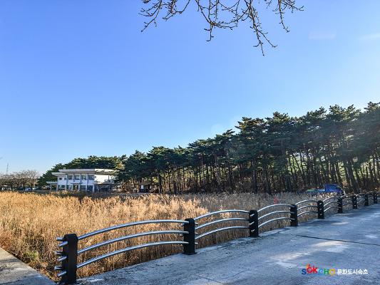 2020 속초 문화특화지역조성사업 도시기록사업 사진 모음(도문동) 39페이지