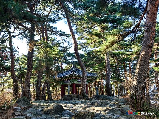 2020 속초 문화특화지역조성사업 도시기록사업 사진 모음(도문동) 41페이지
