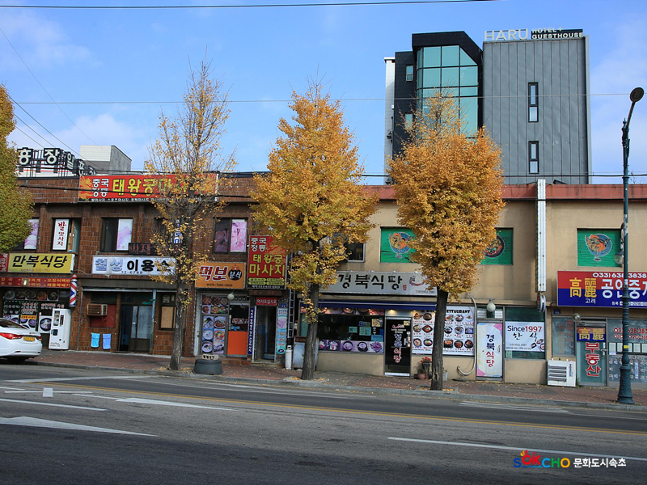 2020 속초 문화특화지역조성사업 도시기록사업 사진 모음(동명동) 74페이지
