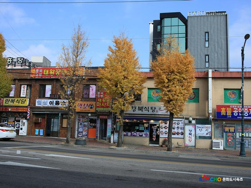 2020 속초 문화특화지역조성사업 도시기록사업 사진 모음(동명동) 74페이지