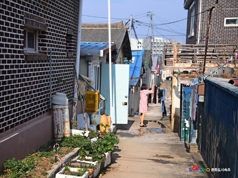 2020 속초 문화특화지역조성사업 도시기록사업 사진 모음(조양동) 108페이지