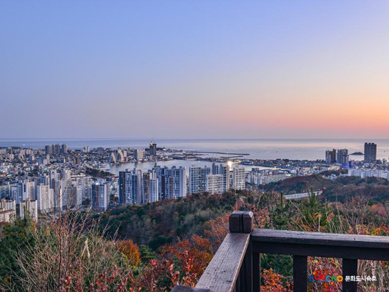 2020 속초 문화특화지역조성사업 도시기록사업 사진 모음(조양동) 12페이지