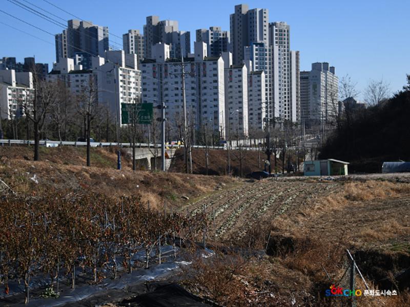 2020 속초 문화특화지역조성사업 도시기록사업 사진 모음(조양동) 135페이지