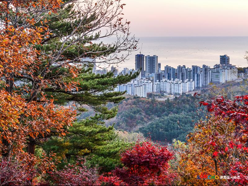 2020 속초 문화특화지역조성사업 도시기록사업 사진 모음(조양동) 32페이지
