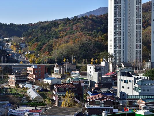 2020 속초 문화특화지역조성사업 도시기록사업 사진 모음(조양동) 36페이지