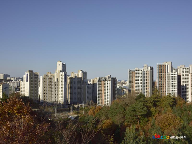 2020 속초 문화특화지역조성사업 도시기록사업 사진 모음(조양동) 40페이지