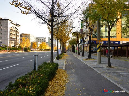 2020 속초 문화특화지역조성사업 도시기록사업 사진 모음(조양동) 41페이지