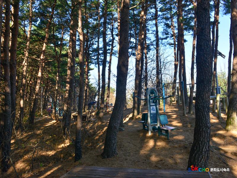 2020 속초 문화특화지역조성사업 도시기록사업 사진 모음(조양동) 56페이지
