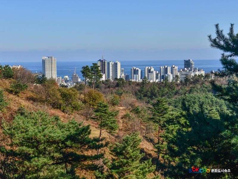 2020 속초 문화특화지역조성사업 도시기록사업 사진 모음(조양동) 59페이지
