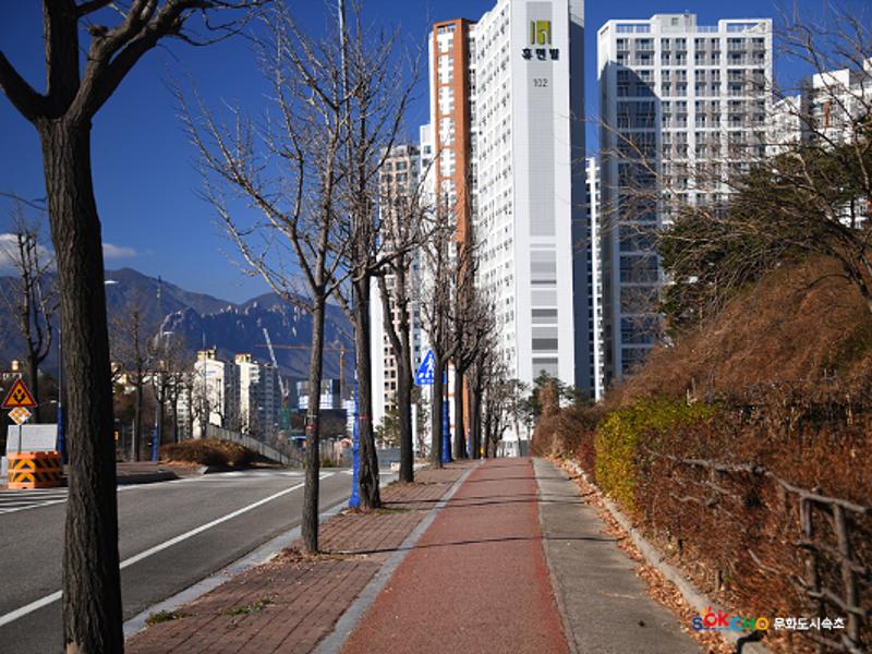 2020 속초 문화특화지역조성사업 도시기록사업 사진 모음(조양동) 71페이지