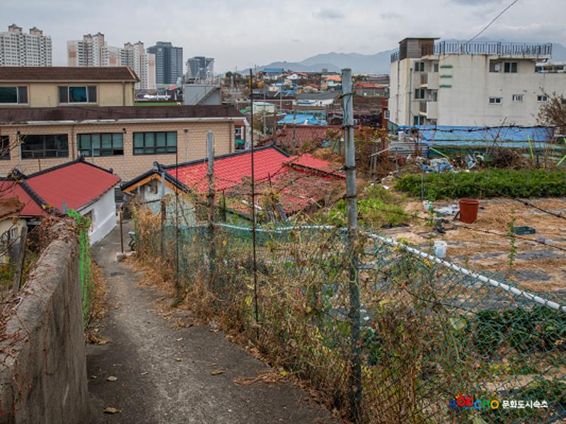 2020 속초 문화특화지역조성사업 도시기록사업 사진 모음(중앙동) 131페이지