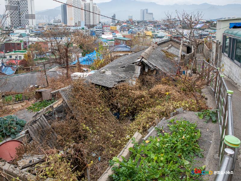 2020 속초 문화특화지역조성사업 도시기록사업 사진 모음(중앙동) 143페이지