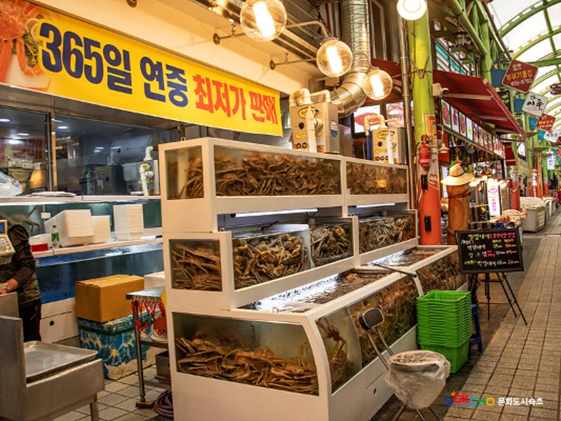 2020 속초 문화특화지역조성사업 도시기록사업 사진 모음(중앙동) 37페이지