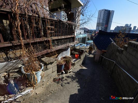 2020 속초 문화특화지역조성사업 도시기록사업 사진 모음(청학동) 27페이지