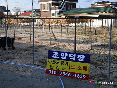 2020 속초 문화특화지역조성사업 도시기록사업 사진 모음(청호동) 42페이지