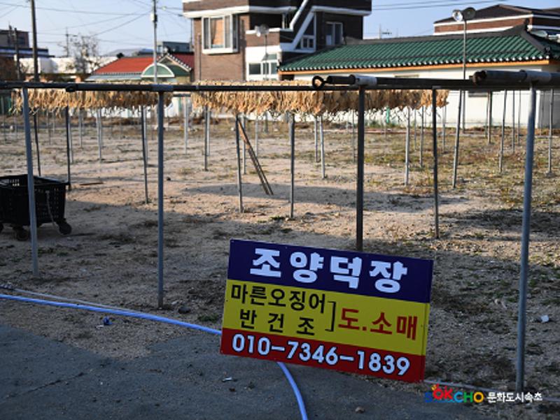2020 속초 문화특화지역조성사업 도시기록사업 사진 모음(청호동) 42페이지
