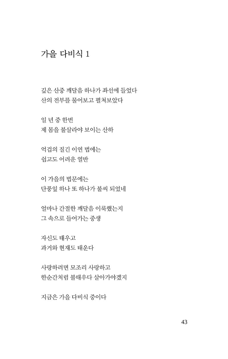 몽 이후 44페이지