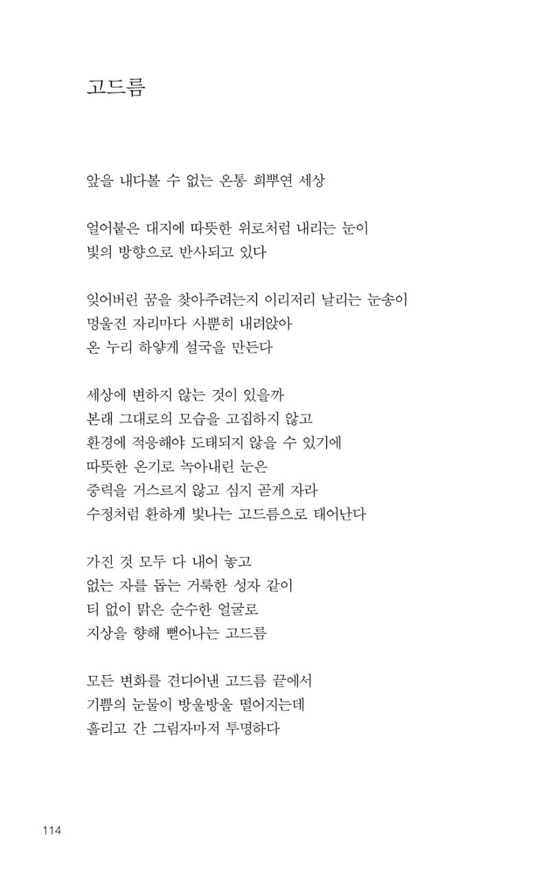 늦깍이의 좌충우돌 115페이지