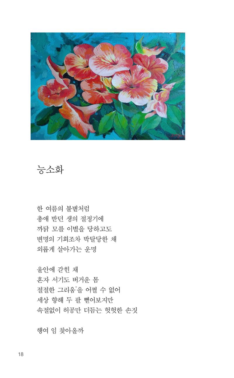 늦깍이의 좌충우돌 19페이지