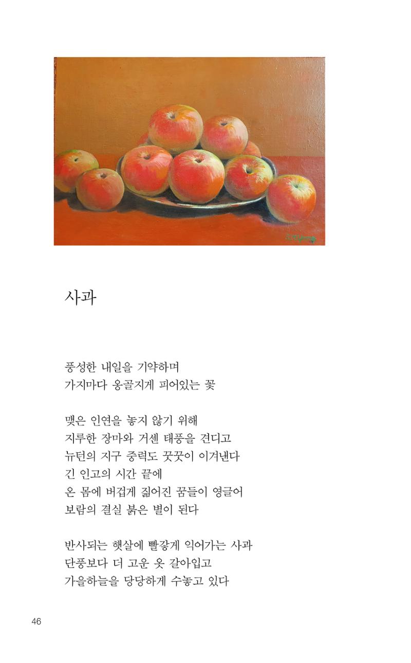 늦깍이의 좌충우돌 47페이지