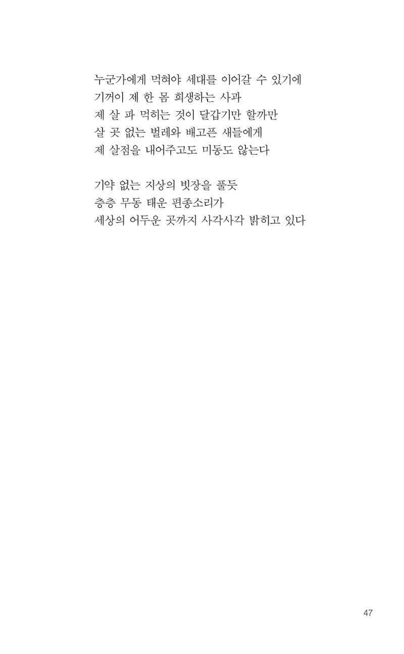 늦깍이의 좌충우돌 48페이지