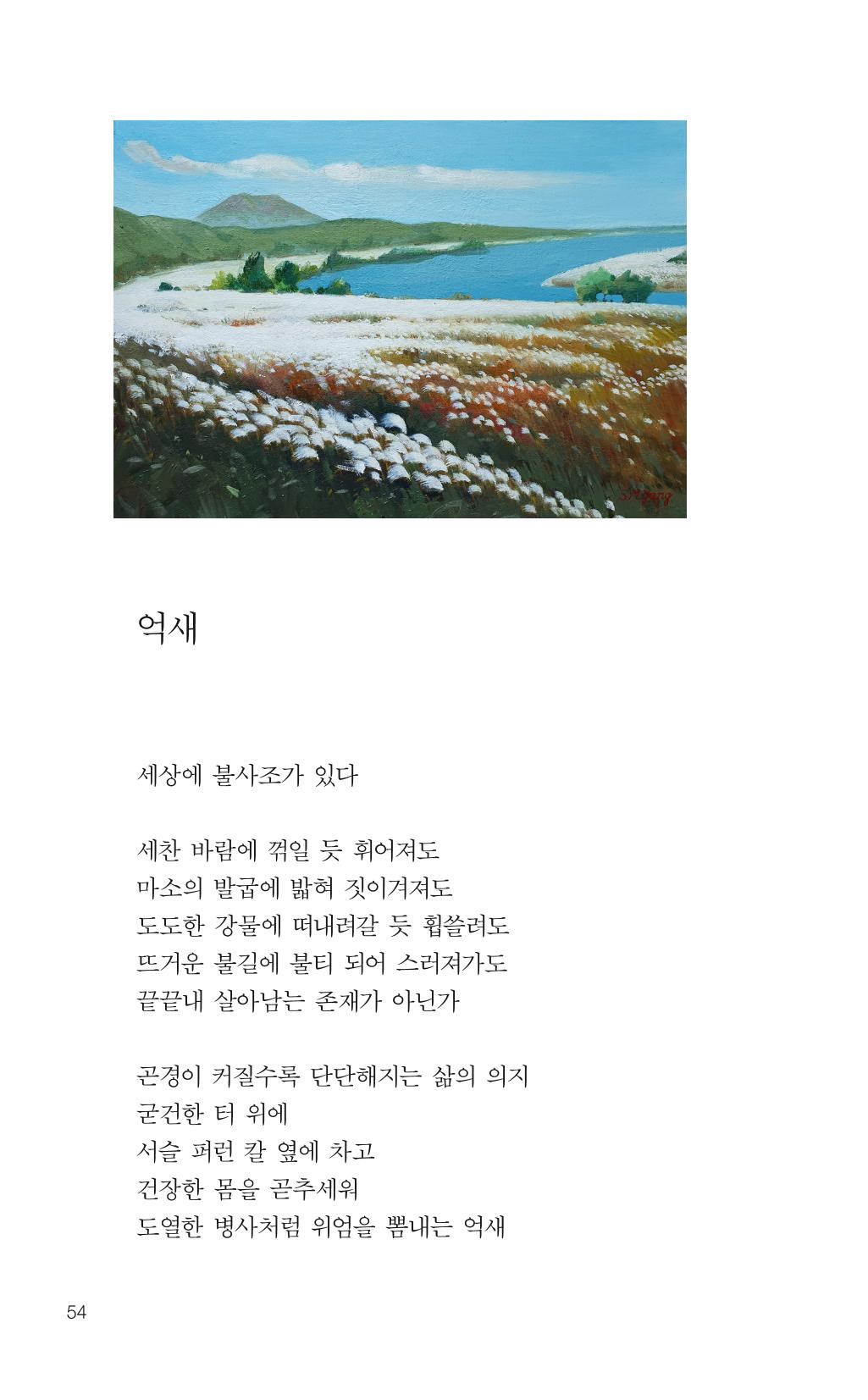 늦깍이의 좌충우돌 55페이지