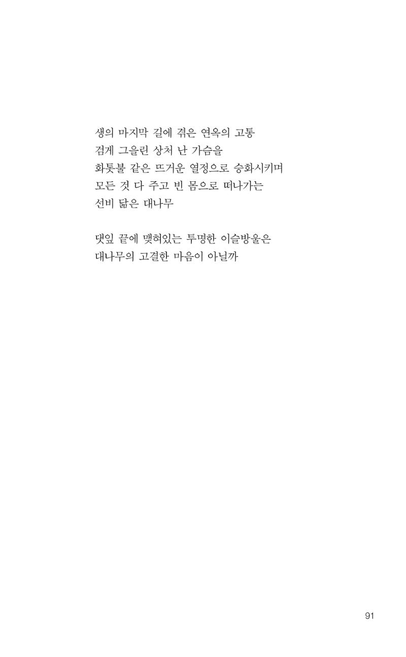 늦깍이의 좌충우돌 92페이지
