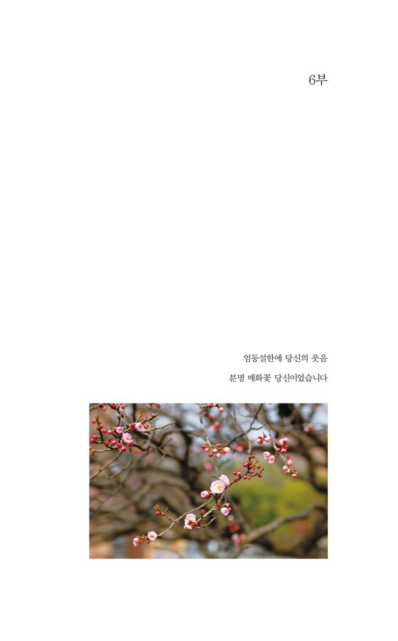 비움 116페이지