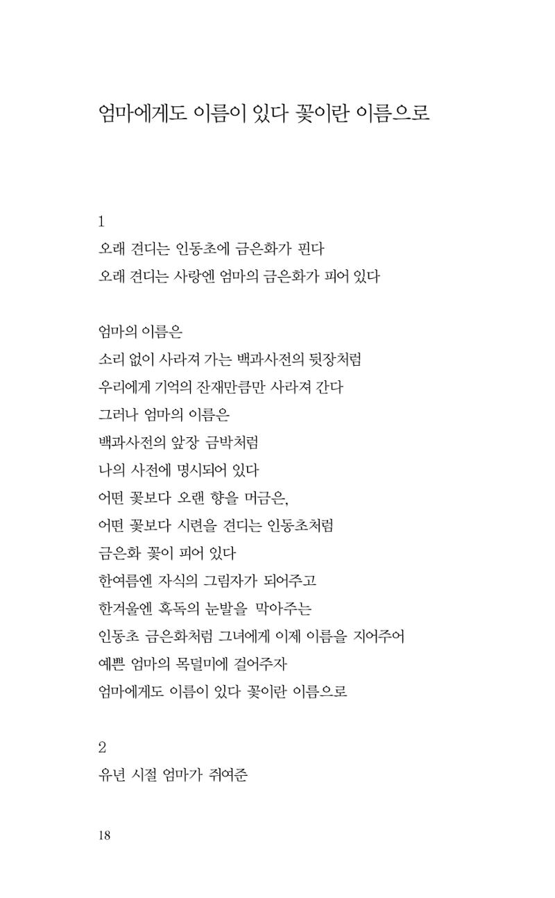 비움 19페이지