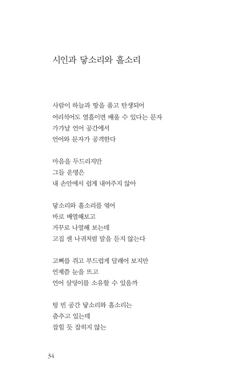 광화문 아리아 29페이지