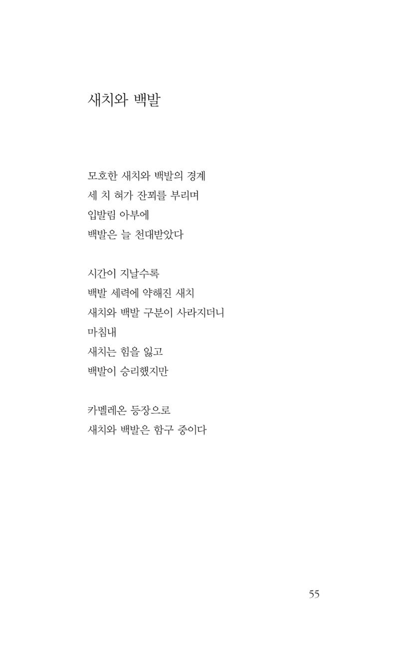 광화문 아리아 50페이지