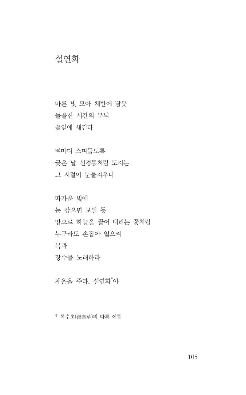 꽃 100페이지