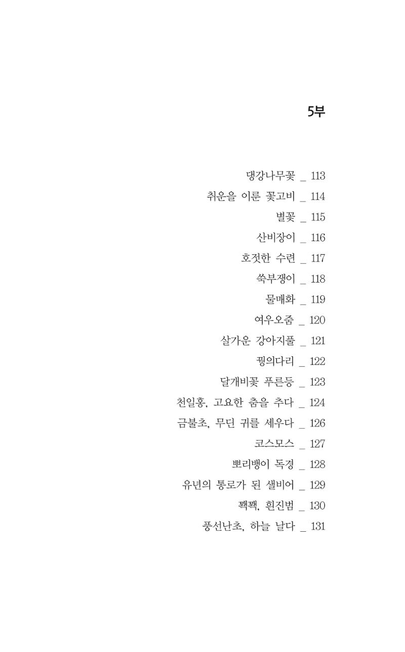 꽃 11페이지