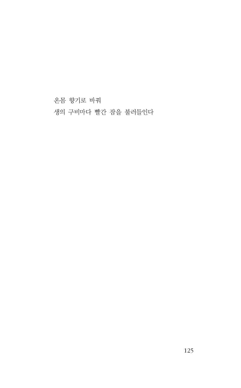 꽃 120페이지
