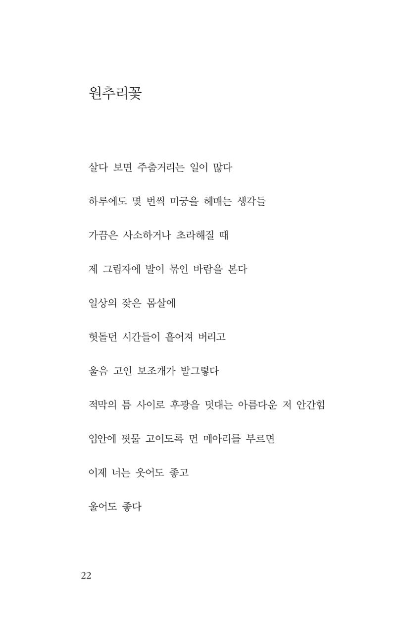 꽃 17페이지