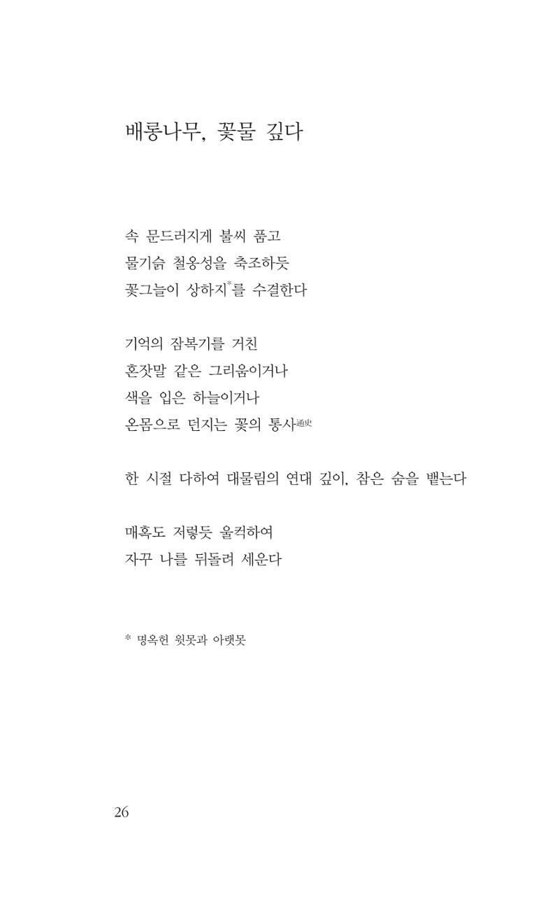 꽃 21페이지